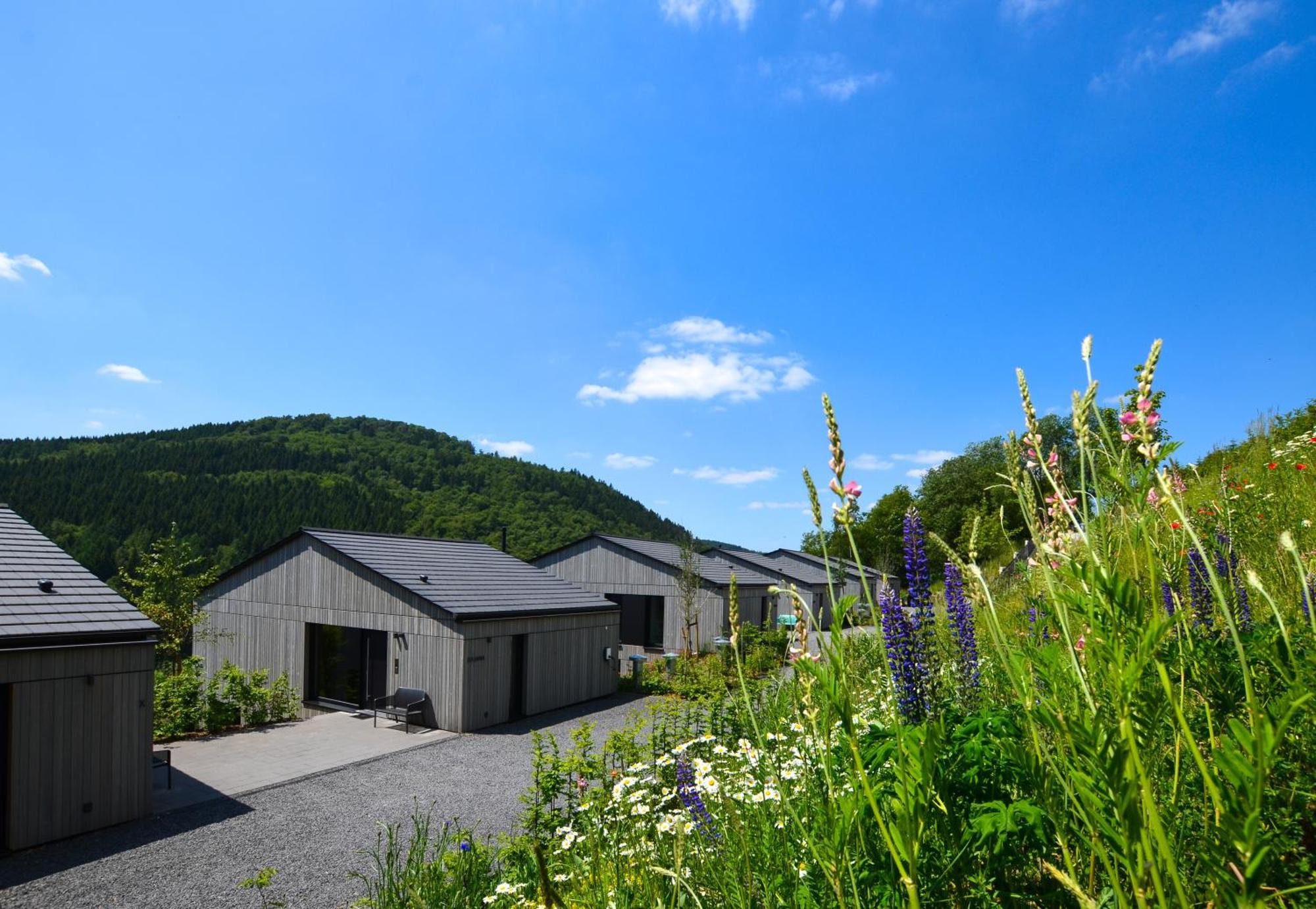 Sauerland Lodge - Haus Julius Winterberg Exteriér fotografie